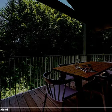 Deniau Apartamento Montriond